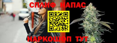 стафф Краснознаменск