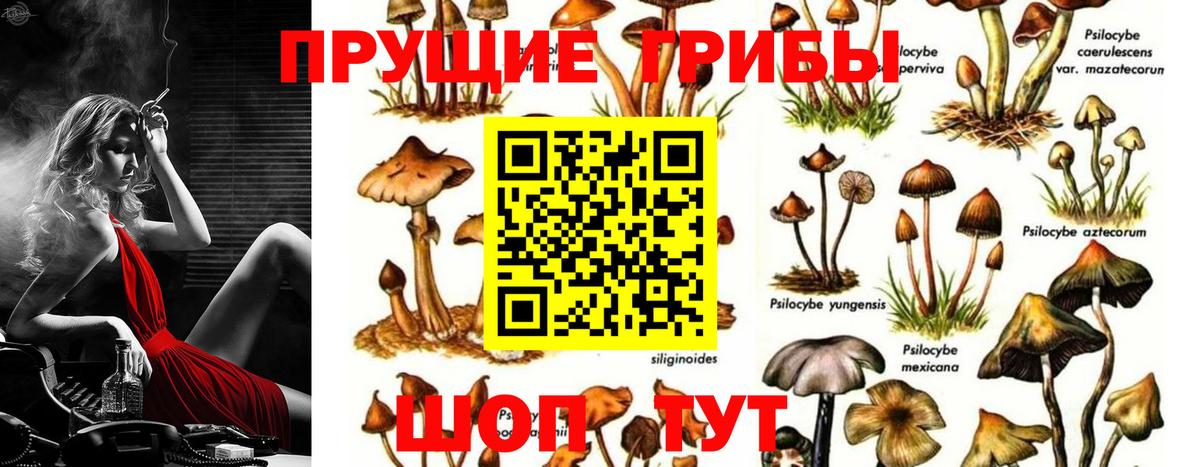 Псилоцибиновые грибы MAGIC MUSHROOMS Гудермес