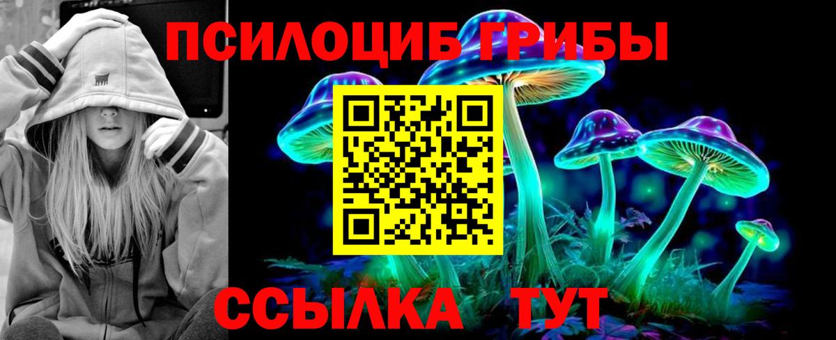 Галлюциногенные грибы мицелий  Галлюциногенные грибы Psilocybine cubensis  Гудермес  Вход с VPN 